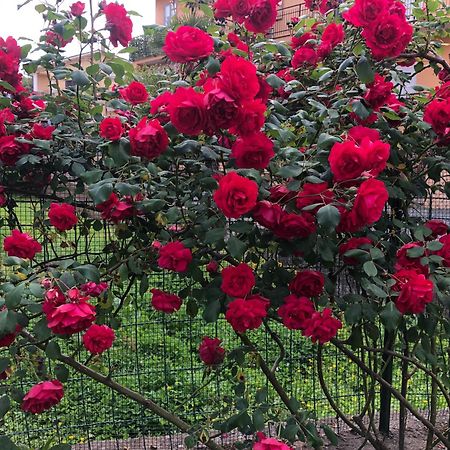 B&B Anna Bolsena Dış mekan fotoğraf