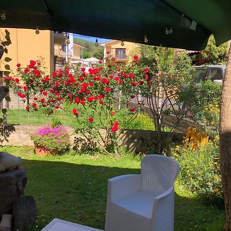 B&B Anna Bolsena Dış mekan fotoğraf