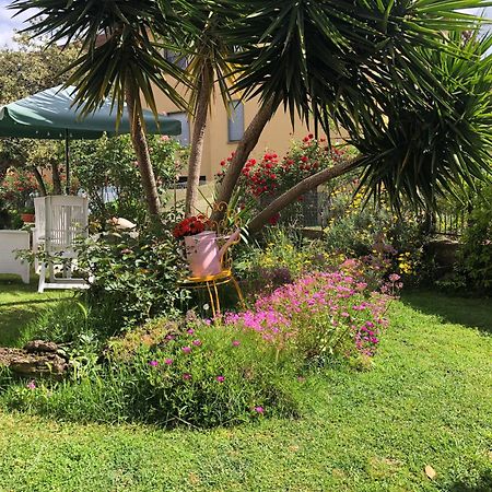 B&B Anna Bolsena Dış mekan fotoğraf
