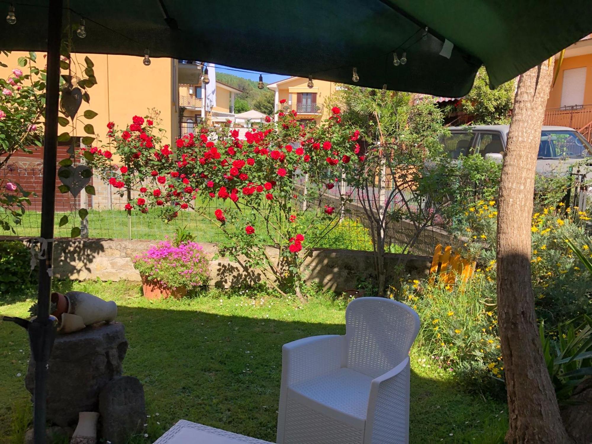 B&B Anna Bolsena Dış mekan fotoğraf
